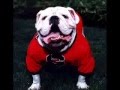 Georgia Dawg Fans Only