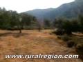 videos de VENTA CASA / MASIA CASTELLOTE, FINCA RUSTICA