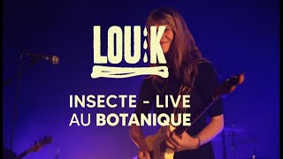 Insecte - Live au Bota