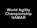 Agility 2007 Hamar
