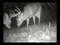 Big 8-point sparing action