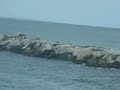 Block Island Ferry
