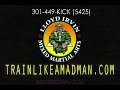 Train To Be A Fighter w 30 Day Free Trial DC/MD/VA