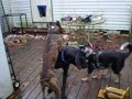 PC010081.AVI