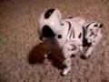 My RoboPet