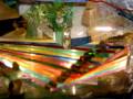 Nieuwe Aarde_1 by Dick de Graaff Productions