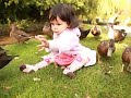 Bombi and her duckie chums in Yorkshire