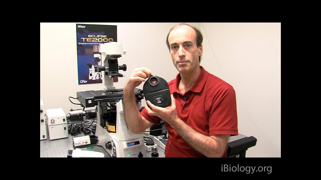 Microscopy: Microscope Imaging and Koehler Illumination (Ron Vale)