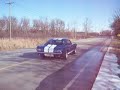 66 shelby mustang fastback