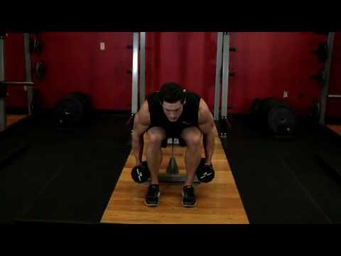 rear delt raise -