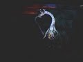 50 min fatalis 50 min fatalis