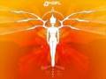 yahel and infected-mushroom