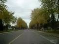 Candiac 1