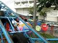 videos de @#[Elephant Fair With My Friendsss]#@