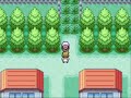 Newbie Saga 1, Episode 1: Go, Squirtle!