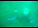 julia t ship wreck
