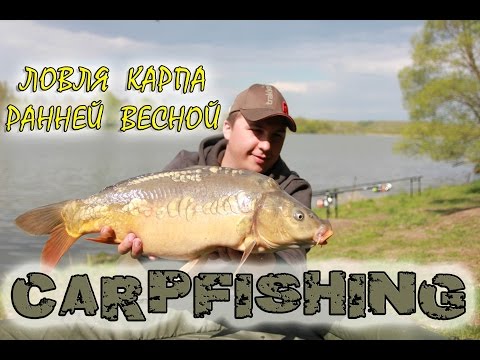 хитрости ловли карпа весной хитрости ловли карпа весной