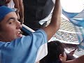 racing vs gimnasia 2