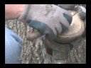 How to trim your horses Bars 2