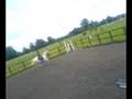 Belle and Bluey 3ft6
