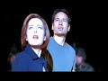 X-files: The truth about Wiilliam X-files: The truth about Wiilliam