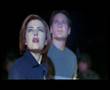 X-files: The truth about Wiilliam