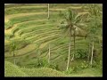 Bali inland Scenic View Bali inland Scenic View