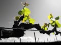 RUTA DEL VINO SAN JUAN