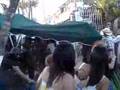 pelea palmares costa rica