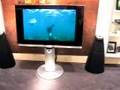 Bang & Olufsen Brighton beolab 9 !