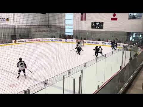 Steal Puck and Shot/Assist