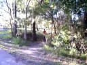Coreys jump
