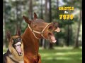 Promo SMS - Chistes 3