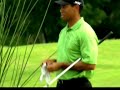 Tiger walks on water