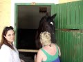 Rosália bebendo cerveja!!!! Rosália bebendo cerveja!!!!