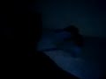 Luego del primer exorcismo viaje al baticano para que me dieran el OK para realizar este segundo exorcismo en piriapolis afortunadamente logramos nuestro cometido a continuacion la evidencia
