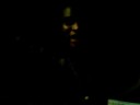 BCG freestyle