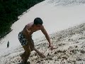 dfdfdf