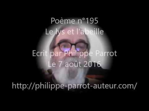 Image de prévisualisation YouTube