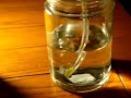 HHO Hydrogen Cell - Fuel Cell - Hydrogen Booster