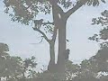 visiting-rural-school.html