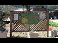 Bug Walk at Earth Bound Farm