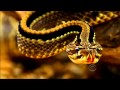 Survivor 21 Nicaragua opening credits [HD]