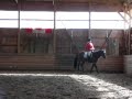 Warm up no rein to start Walter Sept 25 09