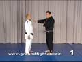Saulo Ribeiro Jiu-Jitsu Revolution 2 Brazilian Jiu-Jitsu