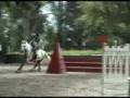 CCE Thieusie Justine et Bounty 80cm obstacle
