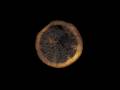 Morphometrics #5: Black Orange