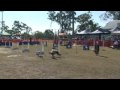 title="Flyball
