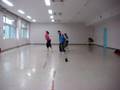 phase translation dance show case plactice