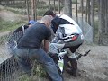 Fiddy Crash
